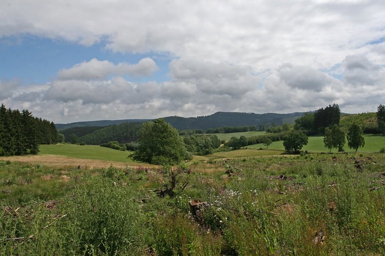 Bild_016