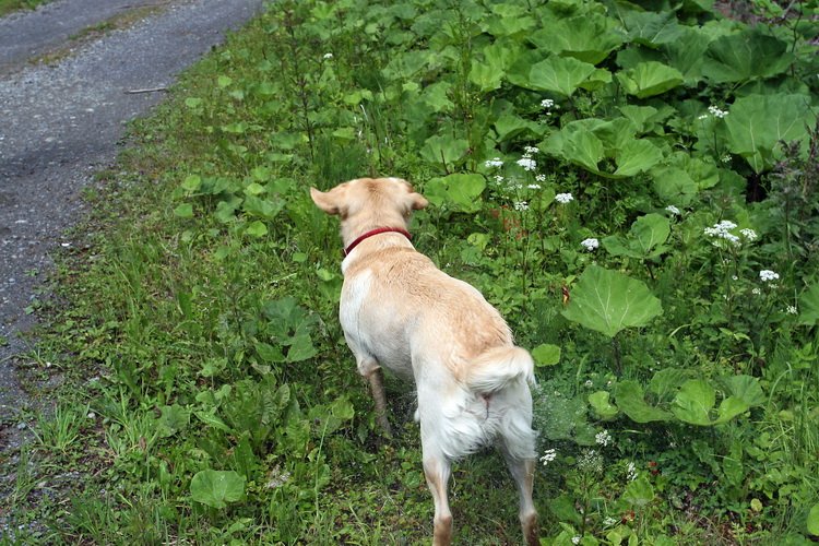 Bild_030