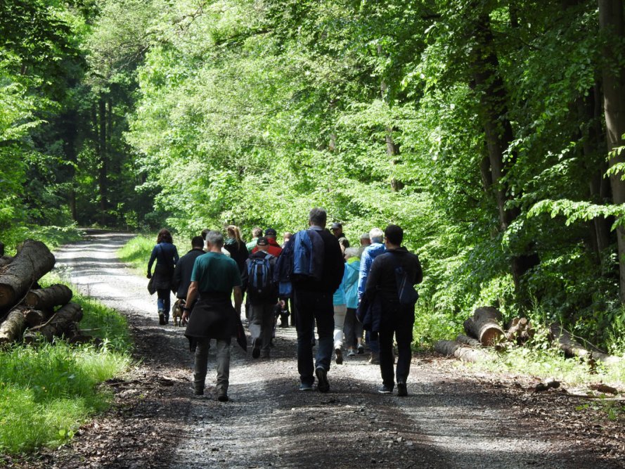 Wandertag-2022_Bild-009